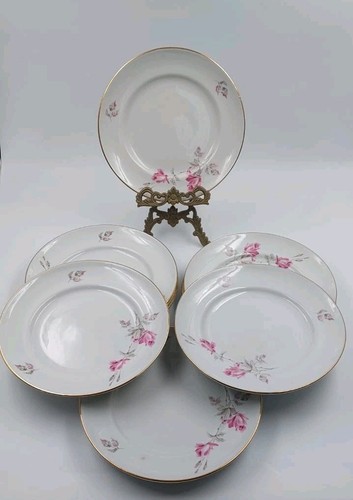 Set piatti da - n.11, dessert