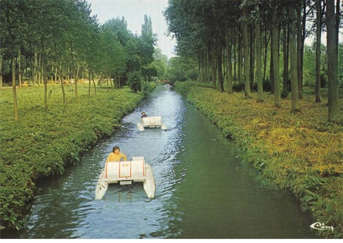 Offoy dc733 campo isole - #dc733,