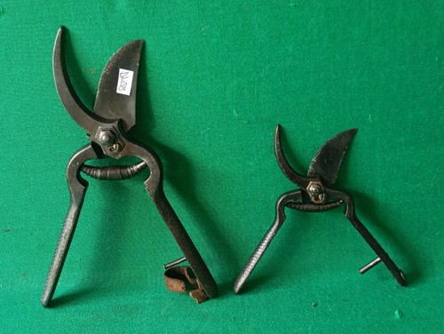 Coppia vecchie forbici forbice - coppia,