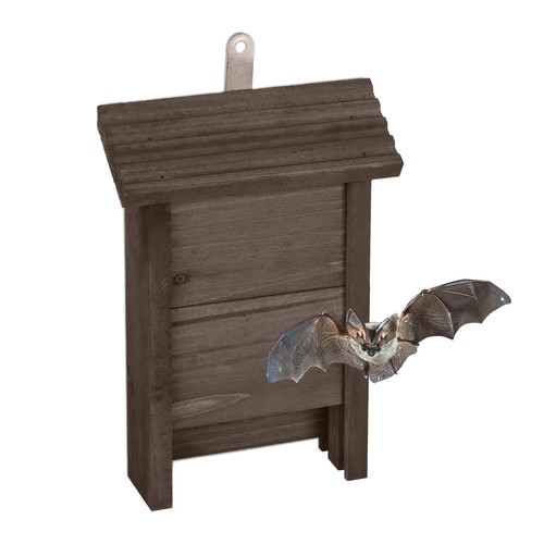 Rifugio per pipistrelli - , bat