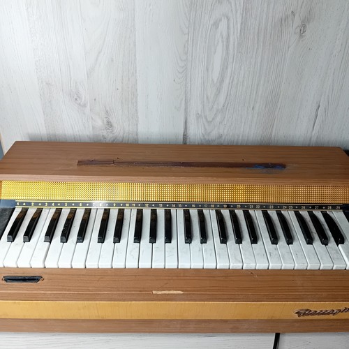 Organo elettrico giaccaglia - elettrico,