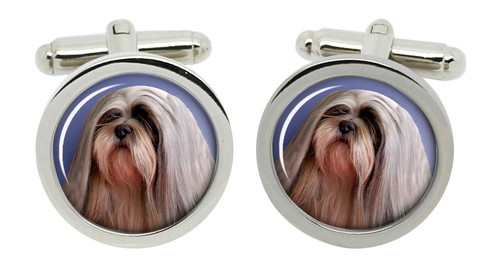 Lhasa apso gemelli cromo - apso,