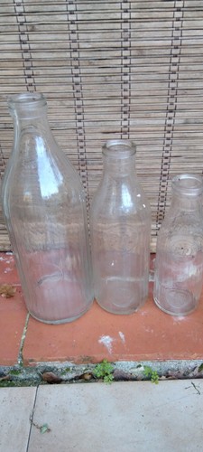 Lotto bottiglie brf latte - bottiglie,