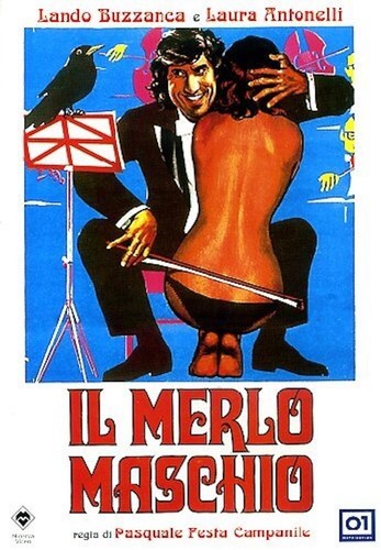 Merlo maschio laura - il,