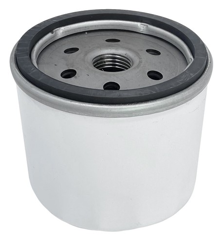 Filtro olio sostituisce - , lister