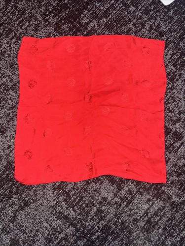Christan dior hanky - christan,