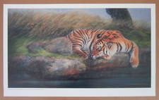 Mitchell Tolle Lithograph Print Titled "Royal Bengal" Tiger, Signed, COA, 1994