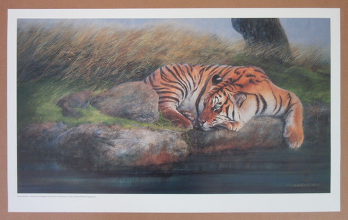 Stampa litografica mitchell - litografica,