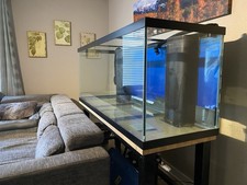 220 Gallon Reef Tank With
