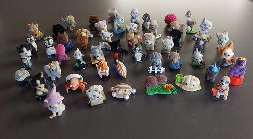 Cuccioli cerca amici lotto - cerca,