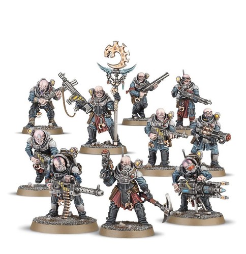 Ibridi neofite miniature - ibridi,