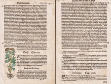 Bertram Enitz Libro Di Erbe