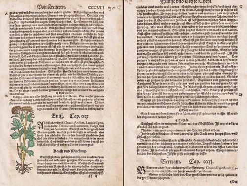 Bertram enitz libro erbe - bertram,