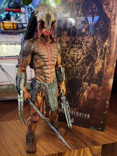 Hot toys modellino feral - hot,