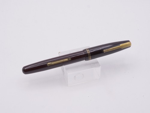 Penna stilografica waterman - stilografica,