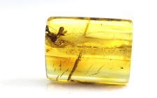 Pietra naturale vera ambra del