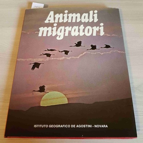 Animali migratori meraviglie - animali,