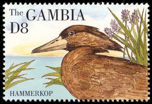 Gambia 1614 testata a - 1614,