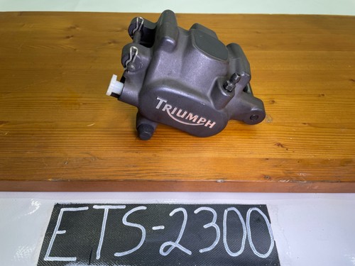 Pinza freno posteriore - , triumph