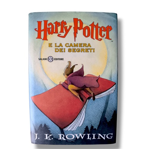 Harry potter camera dei - harry,