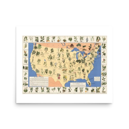 Mappa piante medicinali usa - mappa,