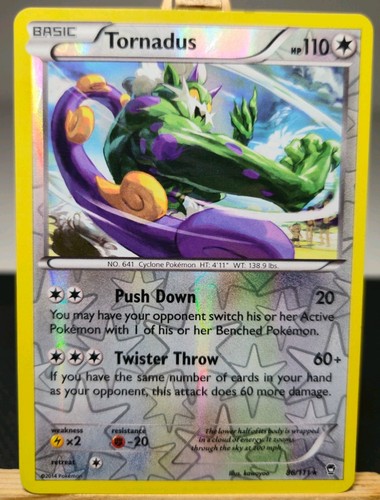 Tornadus 111 furious - tornadus, xy-furious
