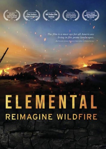 Elemental reimagine wildfire - elemental:,