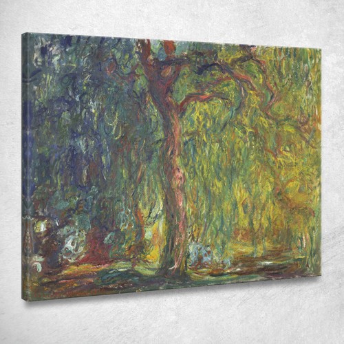 Salice piangente claude - claude, monet