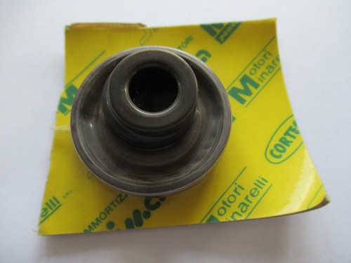 10003 serie paraoli - ,