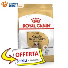 Royal Canin Dog → Adult