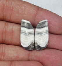 Zebra naturale calcite