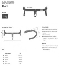 Ursus magnus h01 piega - ursus,