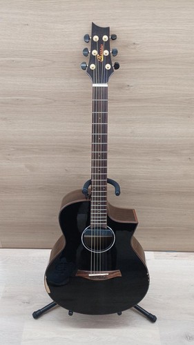 Chitarra elettrica acustica