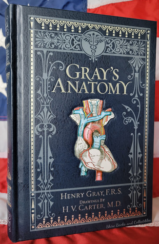 New gray anatomy - anatomy, by