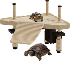 Terrario Tartarughe Terra