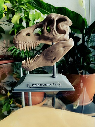 Rex jurassic dinosauro arte - t,