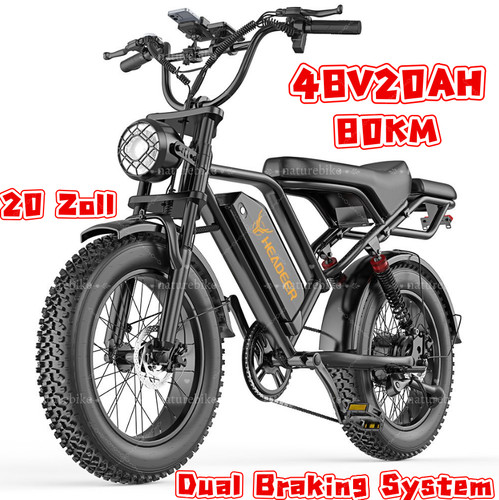 Bicicletta elettrica 750w - elettrica,