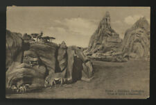 cartolina ROMA giardino zoologico-zebra di grevy e stambecchi