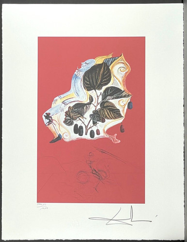 Salvador dali more 50 - dali, *