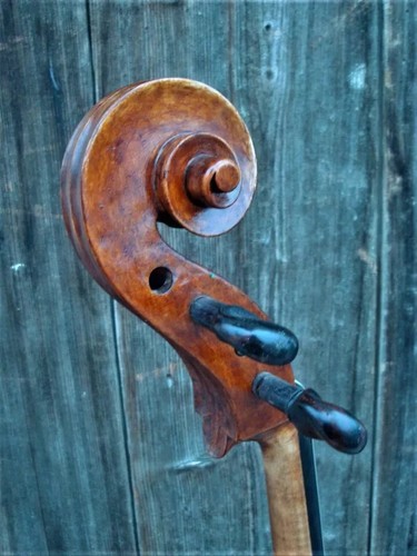 Violoncello vecchio - vecchio,