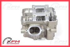 Suzuki TL1000R TL1000S testa