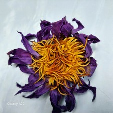 Tè egiziano biologico fiore