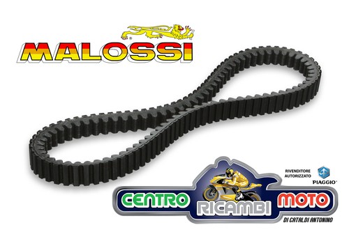 Cinghia variatore trasmissione - variatore,