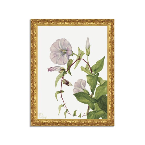 Quadro stampa tela - stampa, su