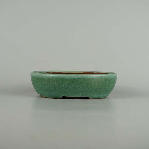 Vaso per bonsai eimei - vaso,