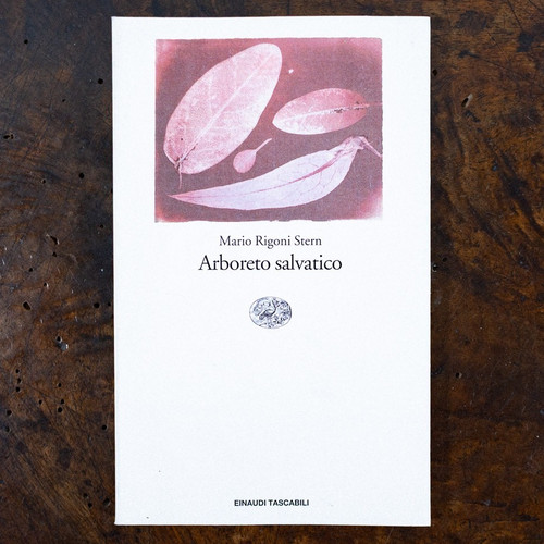 Arboreto salvatico mario - arboreto,