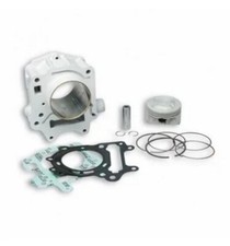 MALOSSI 319990 GRUPPO TERMICO D.67 APRILIA LEONARDO 125 150 SCARABEO ROTAX 4T