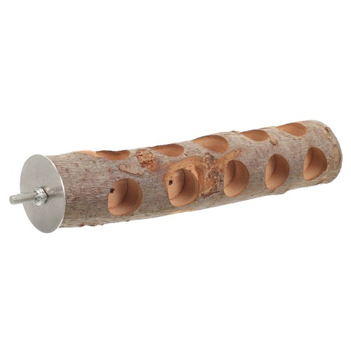 Bastone legno pappagallo - ,