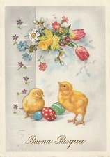 C1- Cp Cartolina Augurale Pasqua Pulcini Uova - Fg Vg 1960