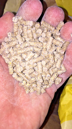 Sacco 10kg pellet - 10kg, mais+melassa